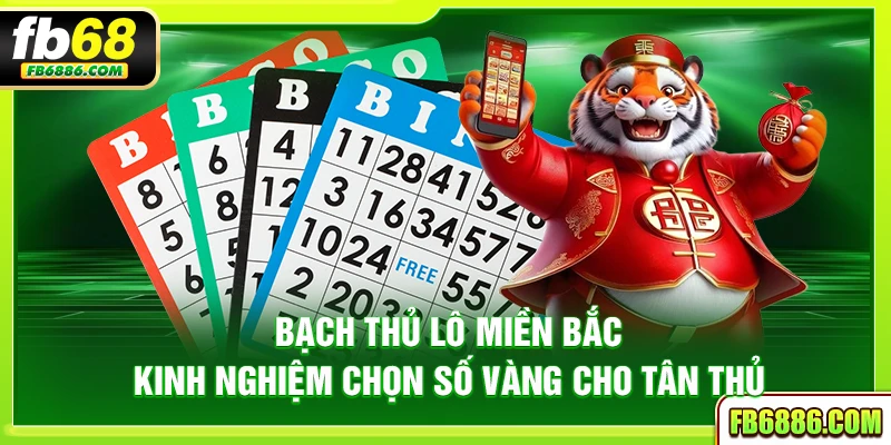 Bạch thủ lô miền Bắc – Kinh nghiệm chọn số vàng cho tân thủ