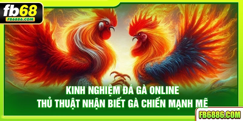 Kinh nghiệm đá gà online - Thủ thuật nhận biết gà chiến mạnh mẽ