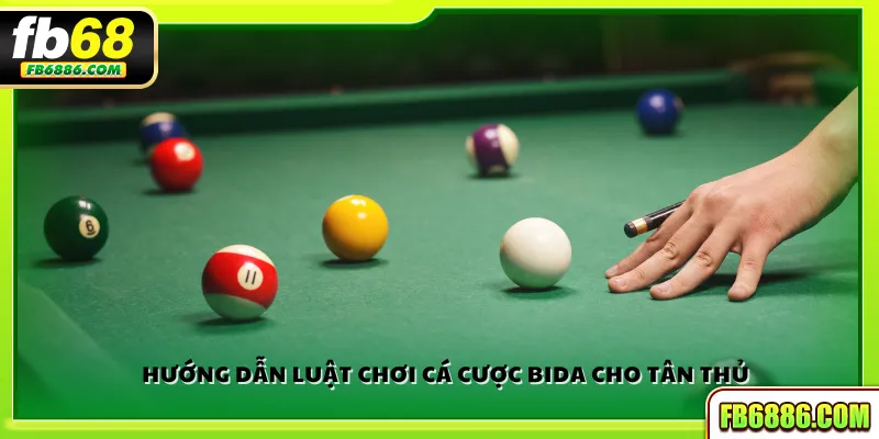Hướng dẫn luật chơi cá cược bida cho tân thủ