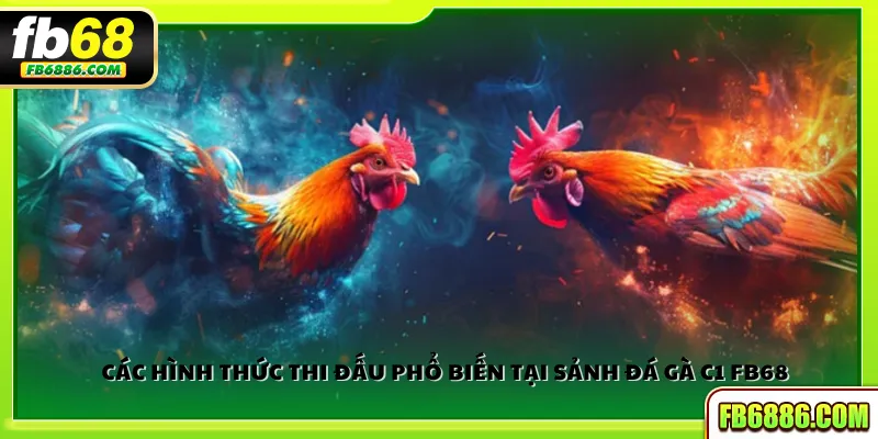 Các hình thức thi đấu phổ biến tại sảnh đá gà C1 FB68