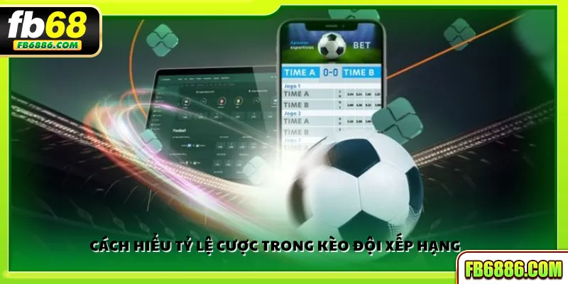 Cách hiểu tỷ lệ cược trong kèo đội xếp hạng