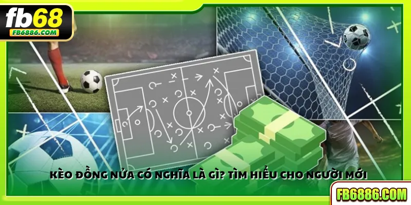 Kèo đồng nửa có nghĩa là gì? Tìm hiểu cho người mới